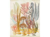 Komar fotótapéta Catchy Corals 200 cm x 250 cm Komar fotótapéta Catchy Corals 200 cm x 250 cm