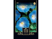 Kékszínű hajnalka világoskék  royal 1