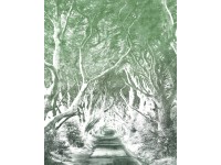 Komar nemszőtt fotótapéta Alley Graphite 200 cm x 250 cm