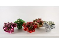 Karácsonyi tőzegmirtusz cserépátmérő: kb. 10,5 cm Pernettya Karácsonyi tőzegmirtusz cserépátmérő: kb. 10,5 cm Pernettya