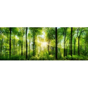 Vászonkép 30 cm x 80 cm természet