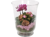 Orchidea kompozíció üveg kaspóban cserépátmérő: kb. 23 cm