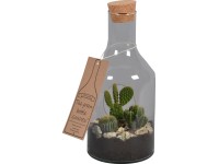 Green Bottle üvegpalack kaktusz mixszel cserépátmérő: kb. 15 cm