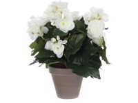 Műnövény begónia fehér cserépátmérő 11,5 cm magasság 30 cm átmérő 25 cm