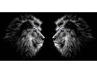 Vászonkép 60 cm x 120 cm modern Vászonkép 60 cm x 120 cm modern