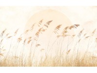 Komar vlies fotótapéta Dune Grass 400 cm x 250 cm Komar vlies fotótapéta Dune Grass 400 cm x 250 cm