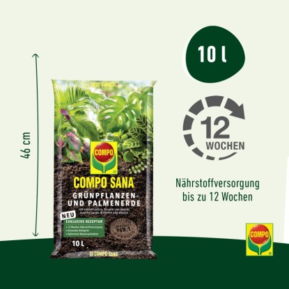 Zsák Compo Sana virágföld zöld növényekhez és pálmákhoz, 10 l. Speciális föld egészséges növényekhez.