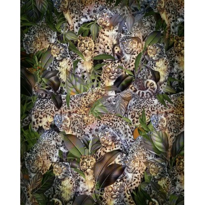 Komar vlies fotótapéta Wild Cats 200 cm x 250 cm