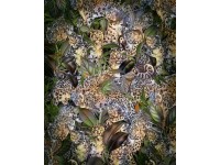 Komar vlies fotótapéta Wild Cats 200 cm x 250 cm
