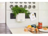 Lechuza Green Wall Home Kit Color virágtartó szett fehér