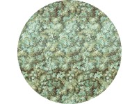 Komar vlies fotótapéta Greenery öntapadós 125 cm