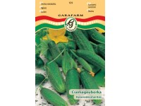 Uborka Kecskeméti konzerv vetőmag