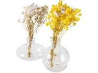 Boltze Filea váza 2-féle változatban többszínű