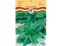 Spenót Viroflay vetőmag Spenót Viroflay vetőmag