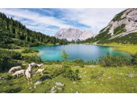 Komar vlies fotótapéta Paradise Lake 400 cm x 250 cm