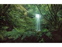Vlies fotótapéta Secret Veil 450 cm x 280 cm
