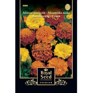 Afrikai körömvirág (Tagetes erecta) vetőmag csomag a színes virágokért.