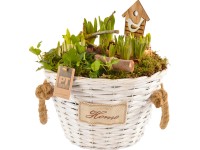 Kompozíció különböző tavaszi virágokkal füles kosárban cserépátmérő: kb. 28 cm
