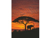 Komar fotótapéta African Sunset 194 cm x 270 cm FSC
