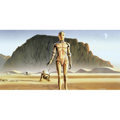 Komar vlies fotótapéta Star Wars Classic RMQ Droids 500 cm x 250 cm