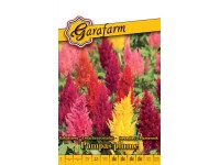 Kakastaréj tollas vetőmag