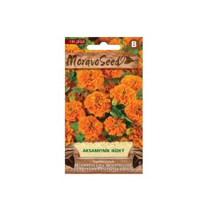 Bársonyvirág (Tagetes patula) vetőmag csomag színes virágokhoz.