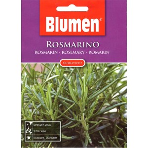 Rozmaring magok a Blumen-től: Aromás fűszernövény a kertbe és a konyhába.