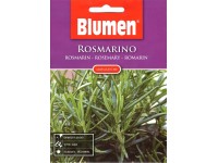 Blumen Rozmaring Blumen Rozmaring