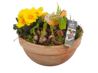 Korai virágválogatás agyagcserépben cserépátmérő kb. 23 cm