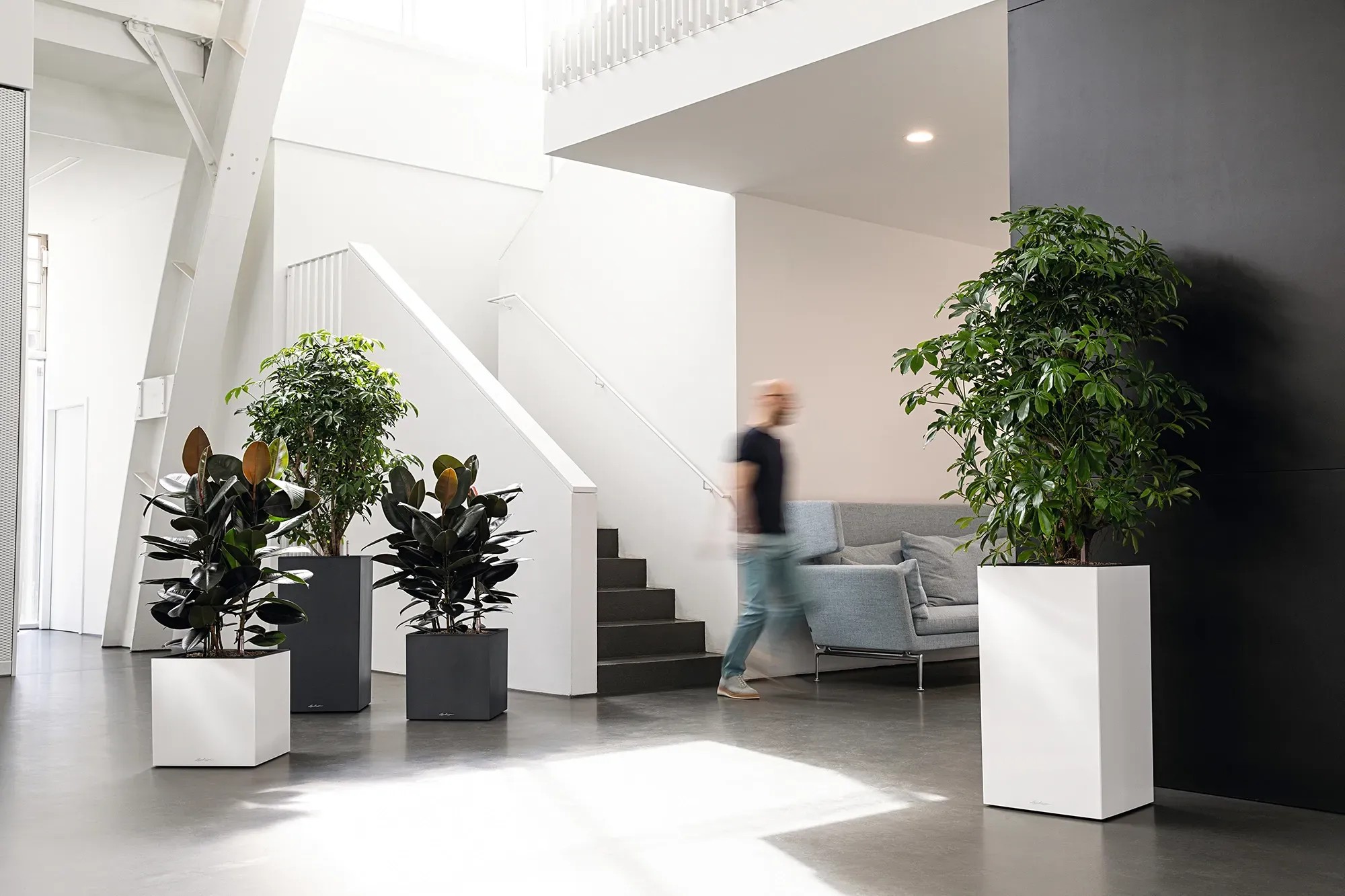 Fioriera LIDO Con Sistema Di Auto-irrigazione E Sottovaso Integrato Di Santino Dimensioni 12 3l Colore Antracite 88852192 - Foto 11