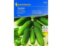 Kiepenkerl Vetőmagok Excelsior eltenni való uborka
