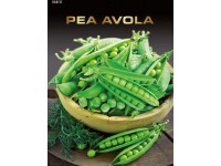 Borsó avola royal 2 Borsó avola royal 2