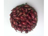 Őszi dughagyma lila hálós 0,3kg