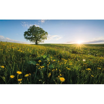 Vlies fotótapéta Frühling auf dem Land 450 cm x 280 cm