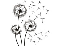 Öntapadós falimatrica pitypangos 2 cm x 30 cm x 30 cm