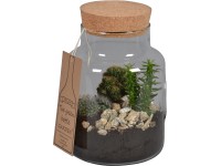 Green Bottle üveghenger kaktusz mixszel cserépátmérő: kb. 19 cm