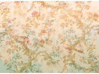Komar vlies fotótapéta Oiseau de Paradis 350 cm x 255 cm Komar vlies fotótapéta Oiseau de Paradis 350 cm x 255 cm