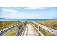 Vászonkép 60 cm x 120 cm természet Vászonkép 60 cm x 120 cm természet