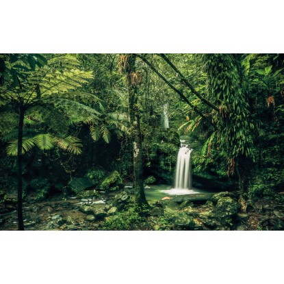 Komar vlies fotótapéta My Hidden Treasure 400 cm x 250 cm