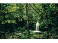 Komar vlies fotótapéta My Hidden Treasure 400 cm x 250 cm