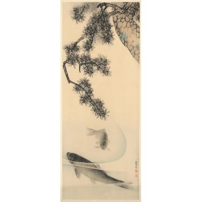 Komar nemszőtt fotótapéta Koi 100 cm x 250 cm