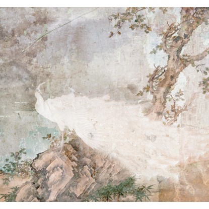 Komar vlies fotótapéta Pasado 300 cm x 280 cm