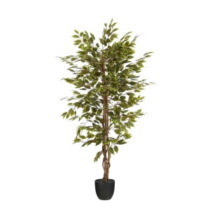 Színes Mica Decorations mű Ficus növény cserépben, 150 cm magas.
