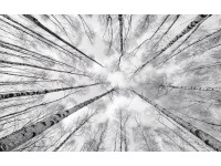 Vlies fotótapéta Weiss-Blau 450 cm x 280 cm