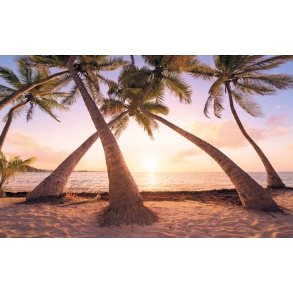 Komar vlies fotótapéta Reaching the Sun 400 cm x 250 cm