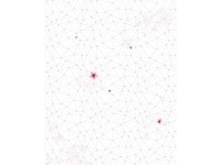 Komar nemszőtt fotótapéta Cherry Blossom 200 cm x 250 cm