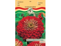 Rézvirág piros vetőmag