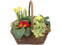 Beültetett tavaszi kosárka kb. 26 cm