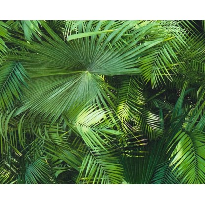 Tapéta 36200-1 Bude FSC®