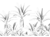 Komar vlies fotótapéta Musa 400 cm x 280 cm